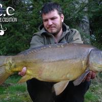MICKAËL LAURENT - TESTEUR HCC