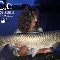 MYRIAM MONTEGU - HCC