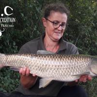 MYRIAM MONTEGU - HCC