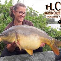 MYRIAM MONTEGU - HCC