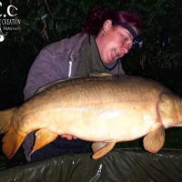 JONATHAN THIRION - CLIENT HCC