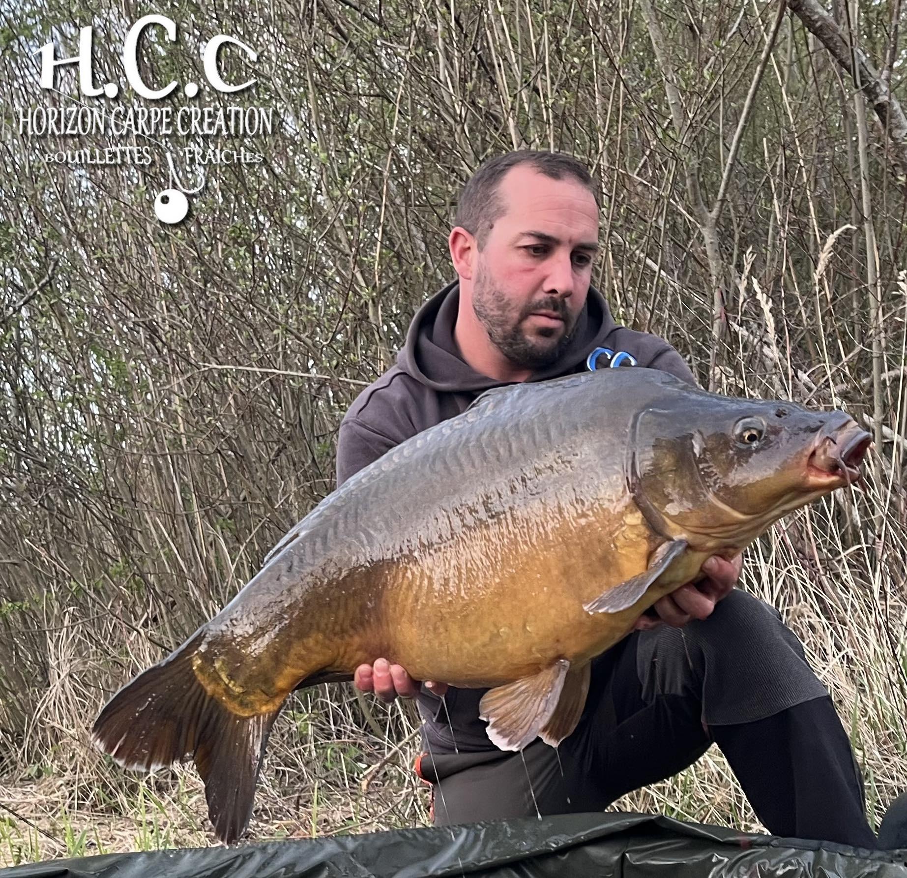 OLIVIER ROSINA - TESTEUR HCC
