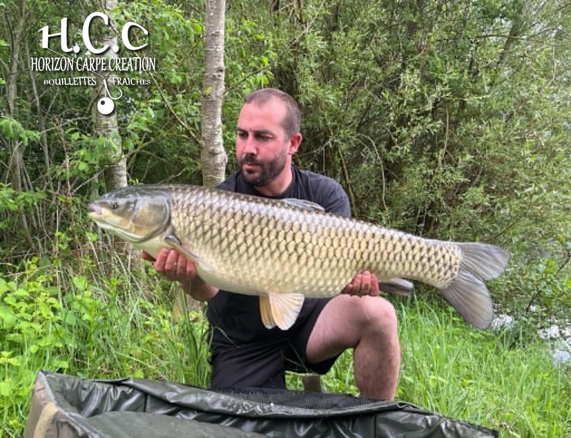OLIVIER ROSINA - TESTEUR HCC
