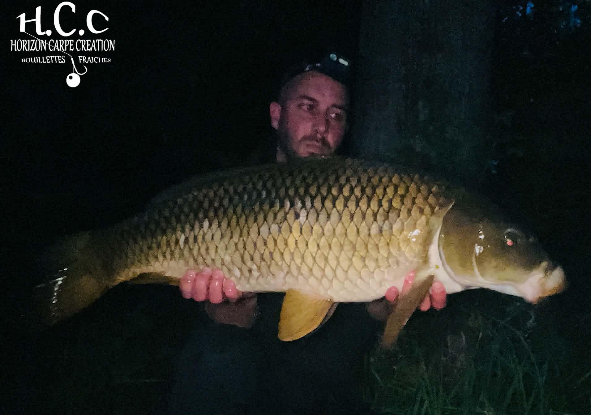 OLIVIER ROSINA - TESTEUR HCC