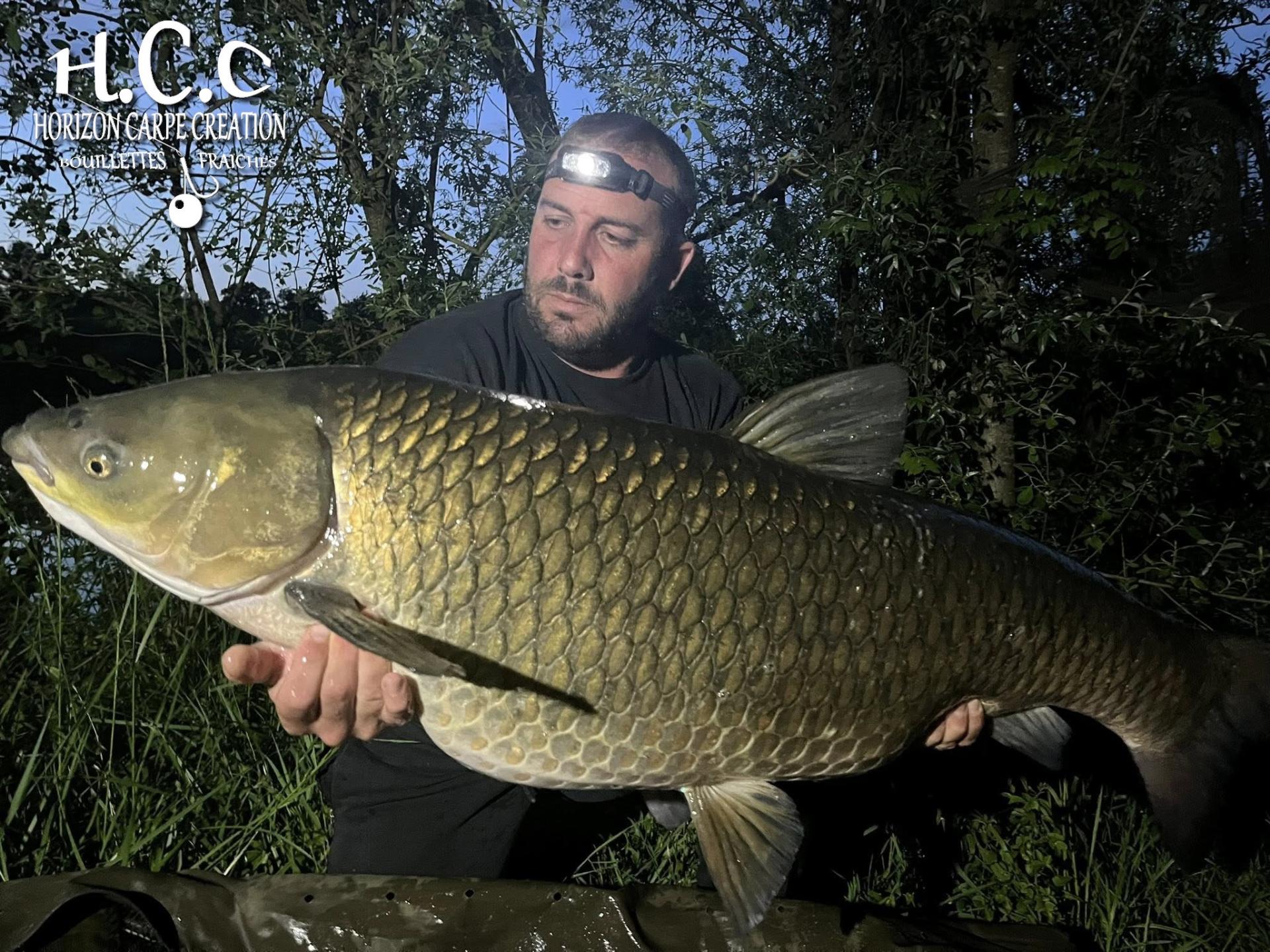 OLIVIER ROSINA - TESTEUR HCC