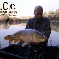 PATRICE BRAULT - TEAM HCC