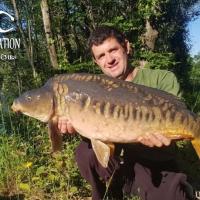 PHILIPPE RIPAULT - CLIENT HCC