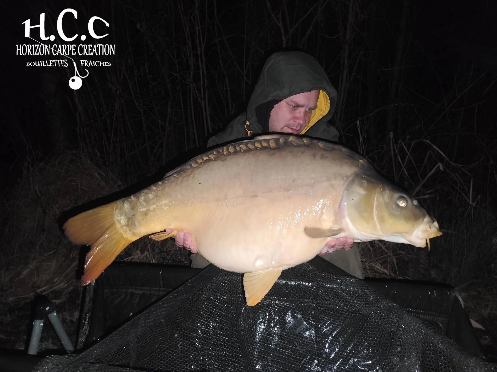 QUENTIN ZAMBELLI - TESTEUR HCC