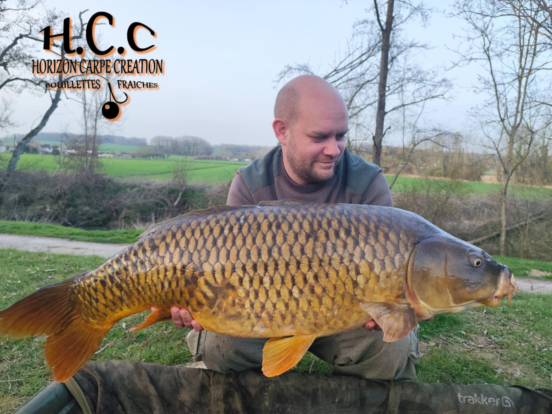 QUENTIN ZAMBELLI - TESTEUR HCC