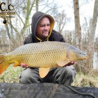 QUENTIN ZAMBELLI - TESTEUR HCC