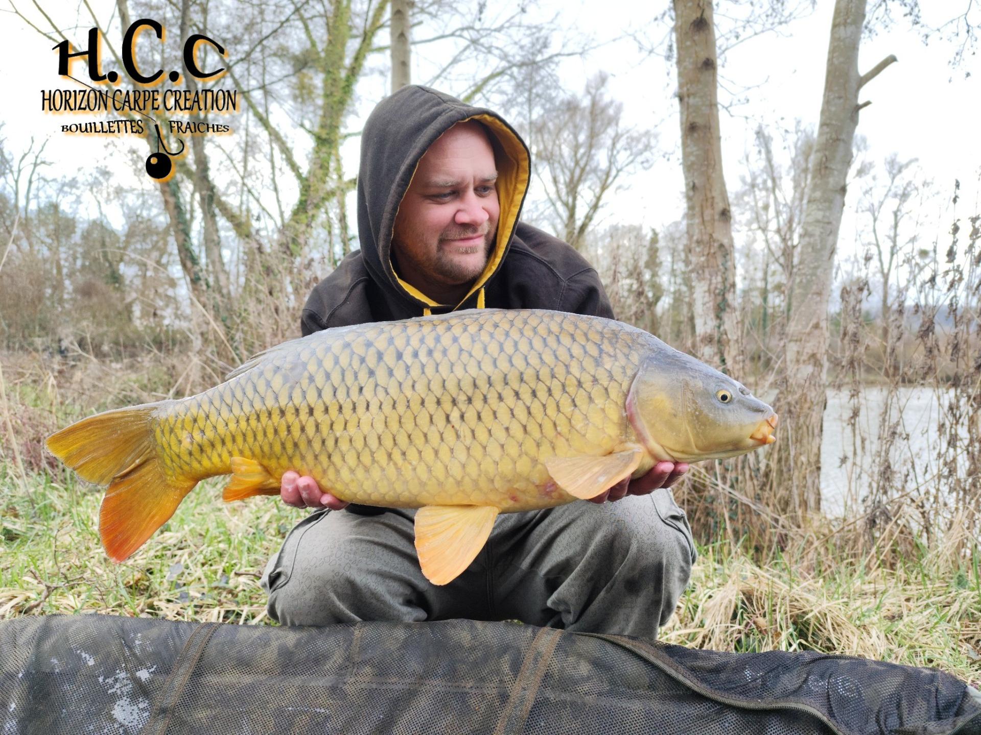 QUENTIN ZAMBELLI - TESTEUR HCC