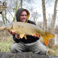 QUENTIN ZAMBELLI - TESTEUR HCC