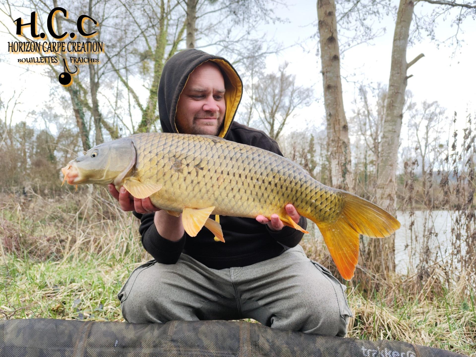 QUENTIN ZAMBELLI - TESTEUR HCC