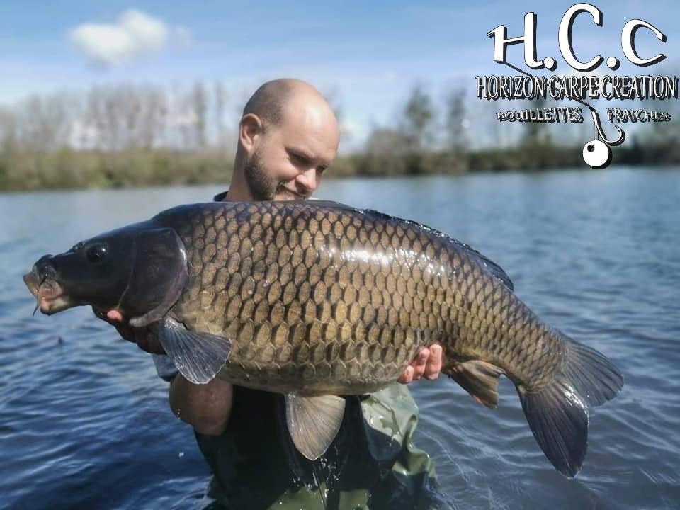 QUENTIN ZAMBELLI - CONSULTANT HCC