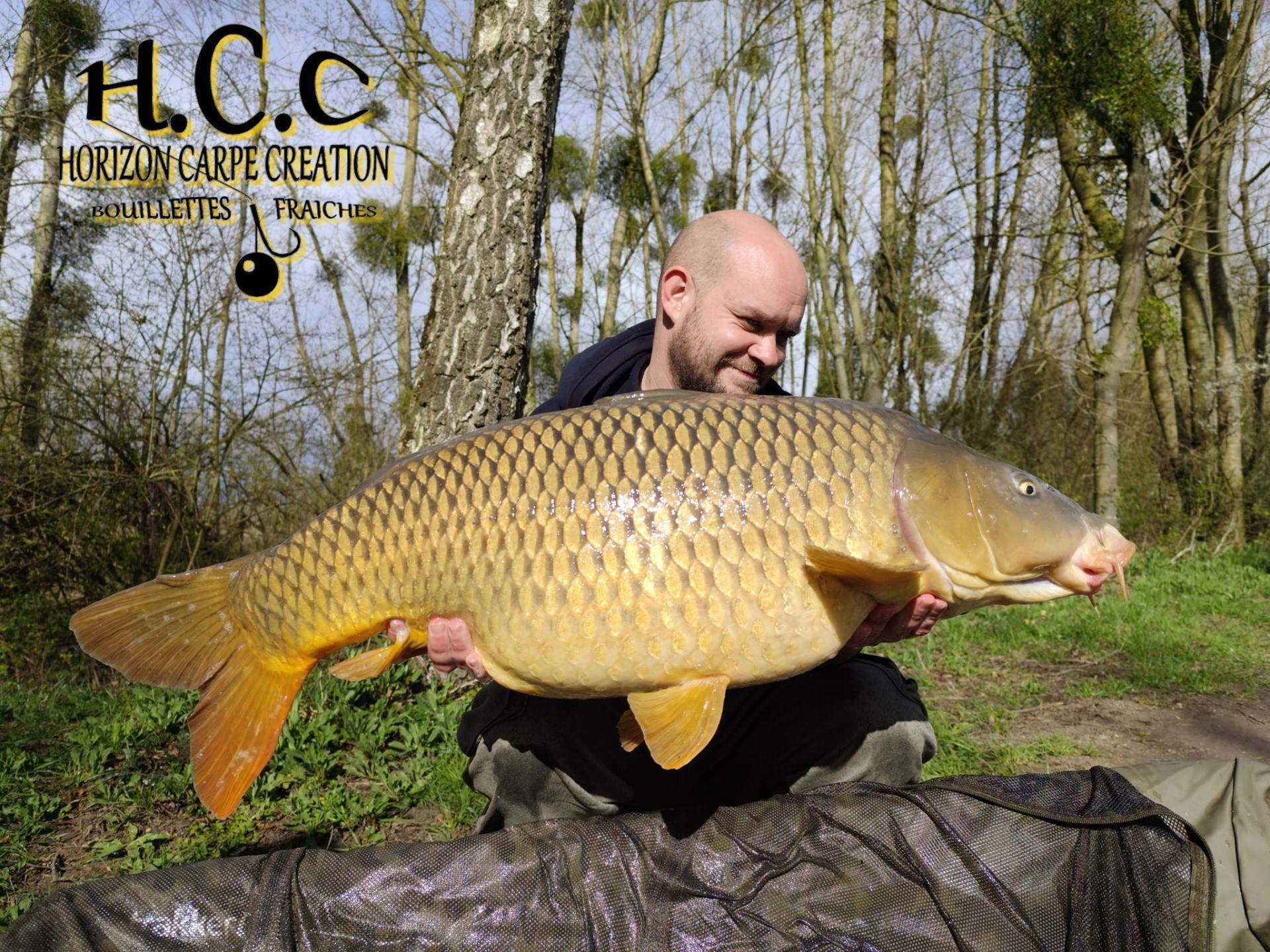 QUENTIN ZAMBELLI - TESTEUR HCC