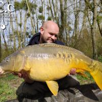 QUENTIN ZAMBELLI - TESTEUR HCC