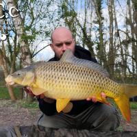 QUENTIN ZAMBELLI - TESTEUR HCC