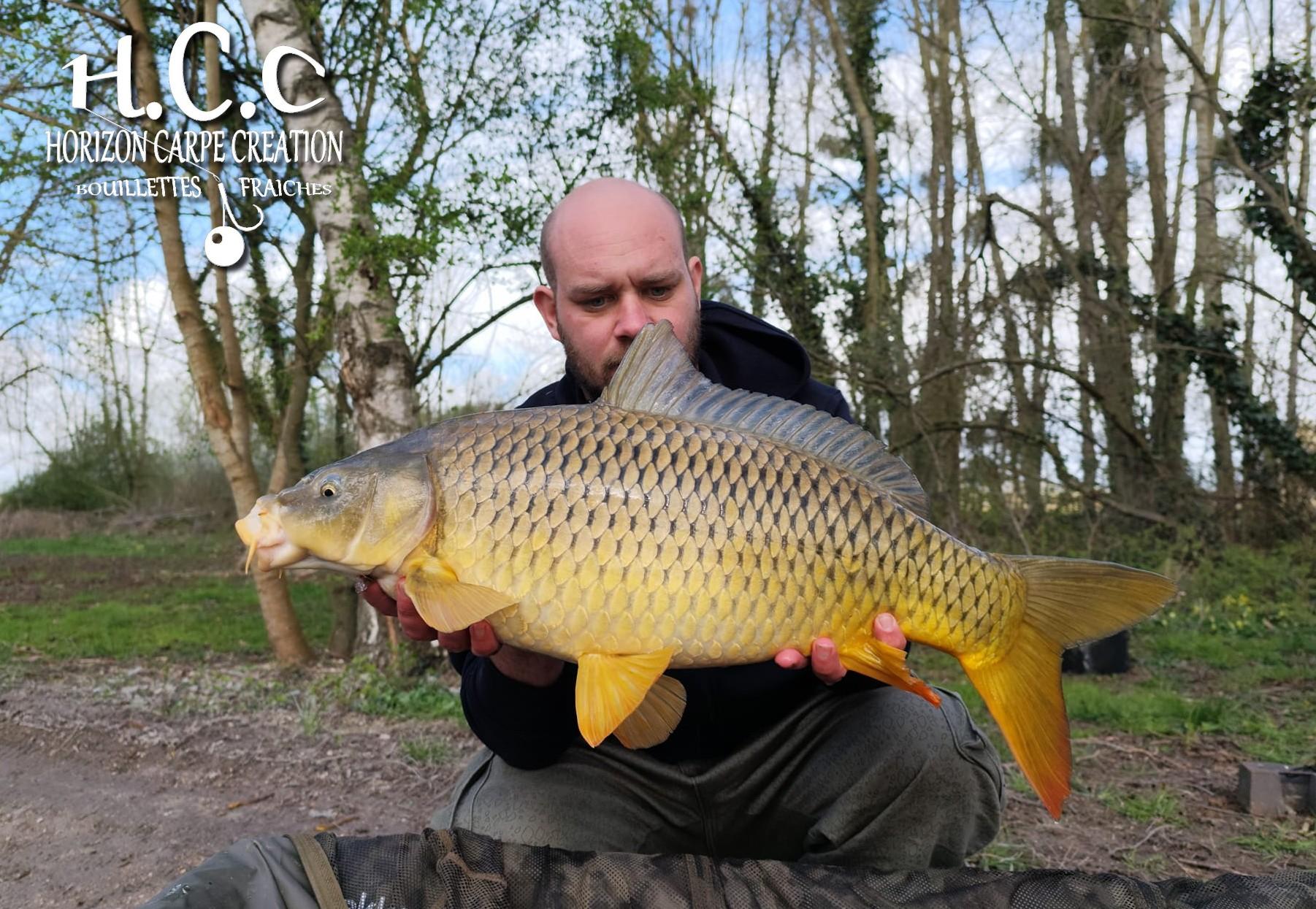 QUENTIN ZAMBELLI - TESTEUR HCC