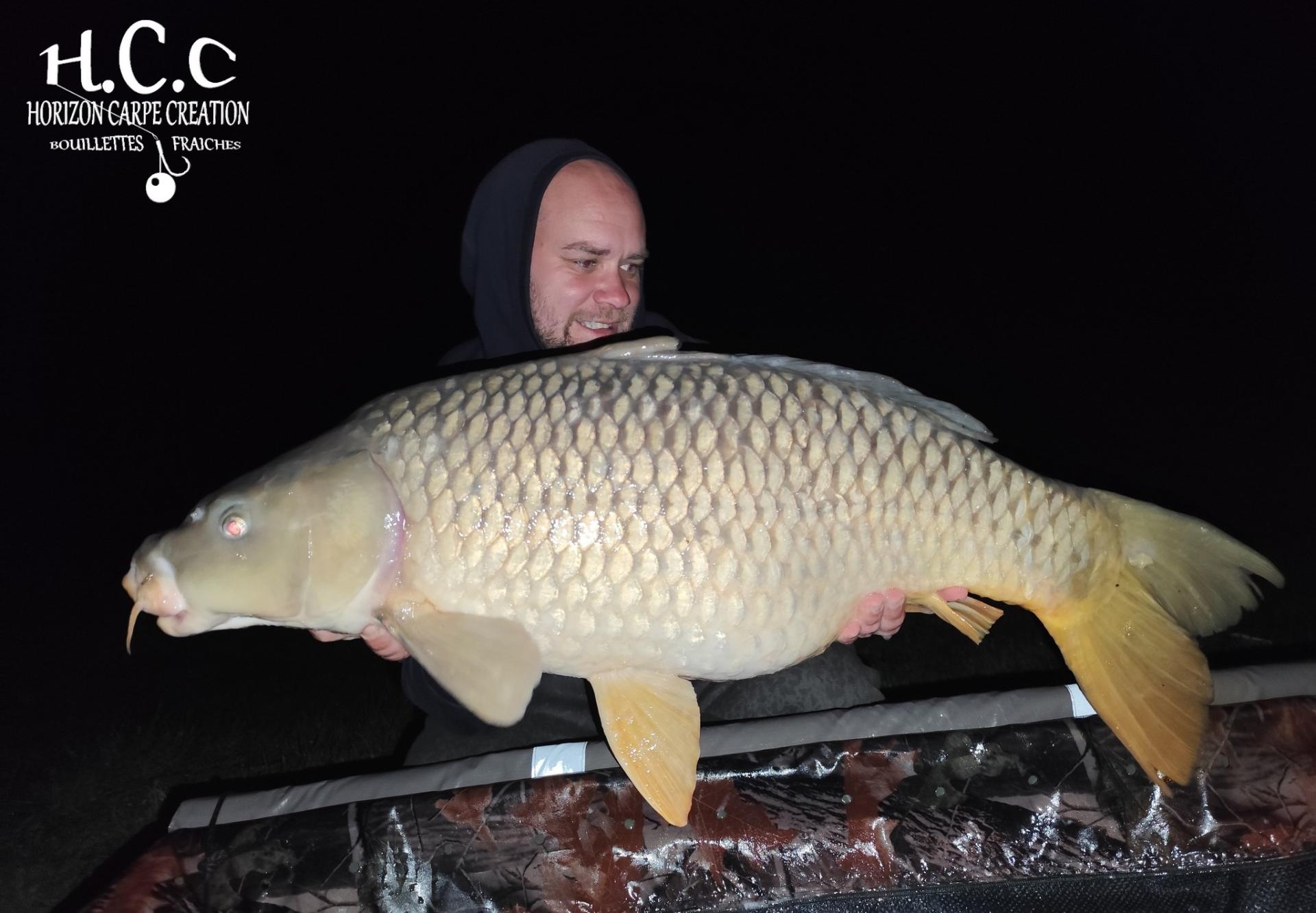 QUENTIN ZAMBELLI - TESTEUR HCC