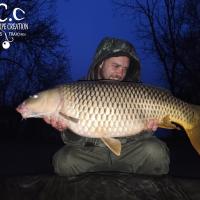 QUENTIN ZAMBELLI - TESTEUR HCC