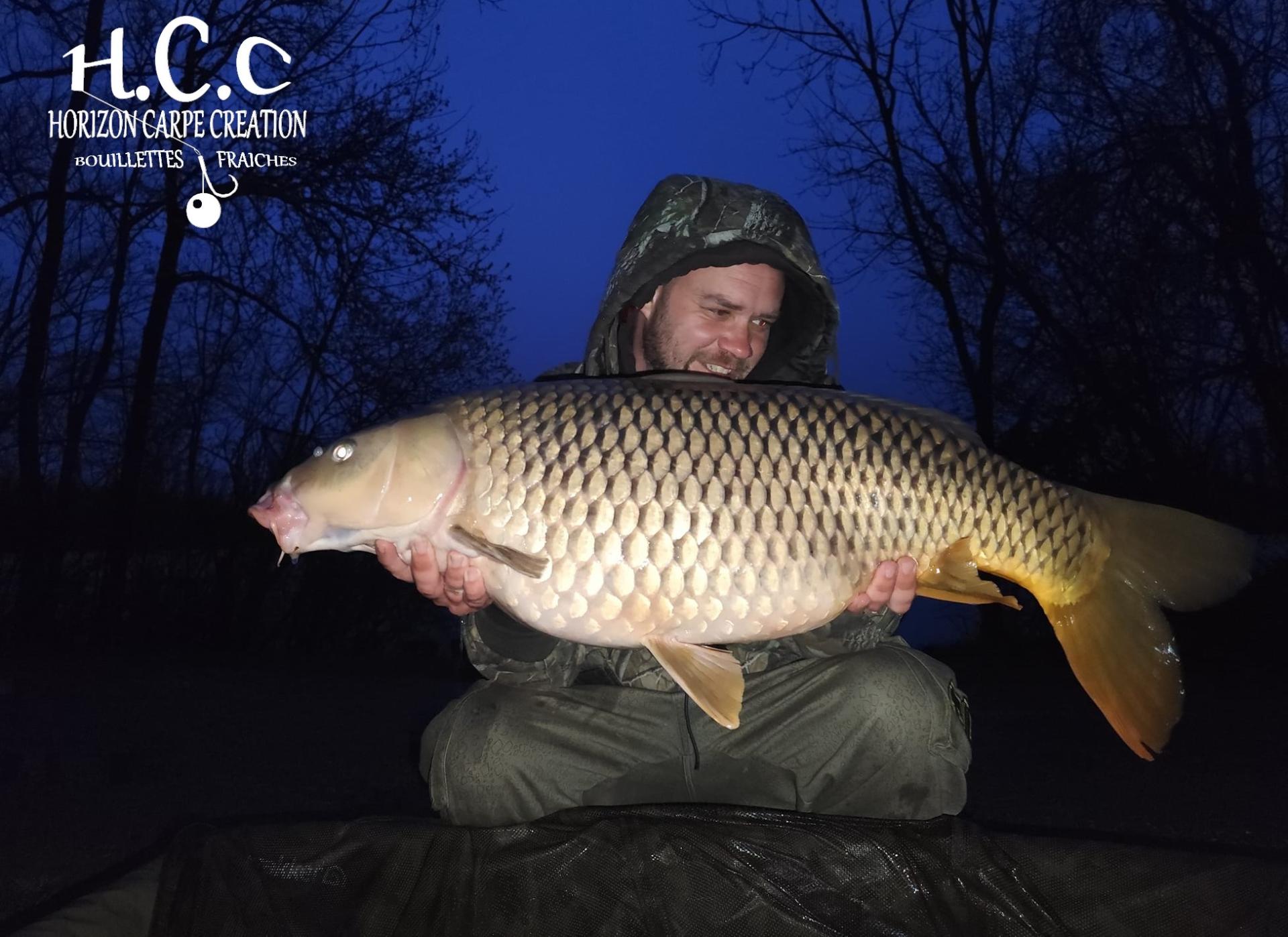 QUENTIN ZAMBELLI - TESTEUR HCC