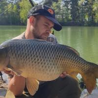 QUENTIN ZAMBELLI - CONSULTANT HCC