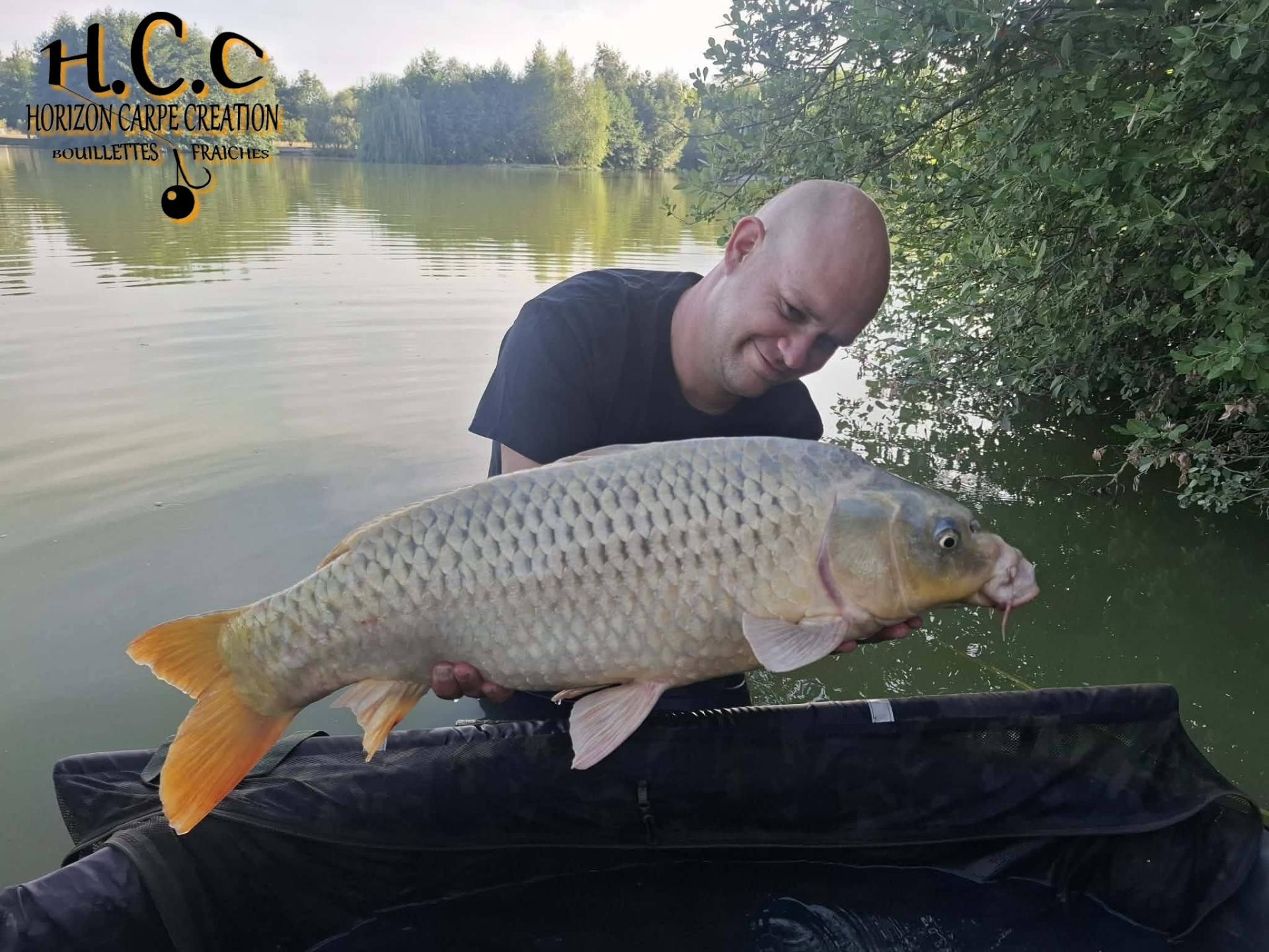 QUENTIN ZAMBELLI - TESTEUR HCC