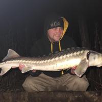 QUENTIN ZAMBELLI - TESTEUR HCC