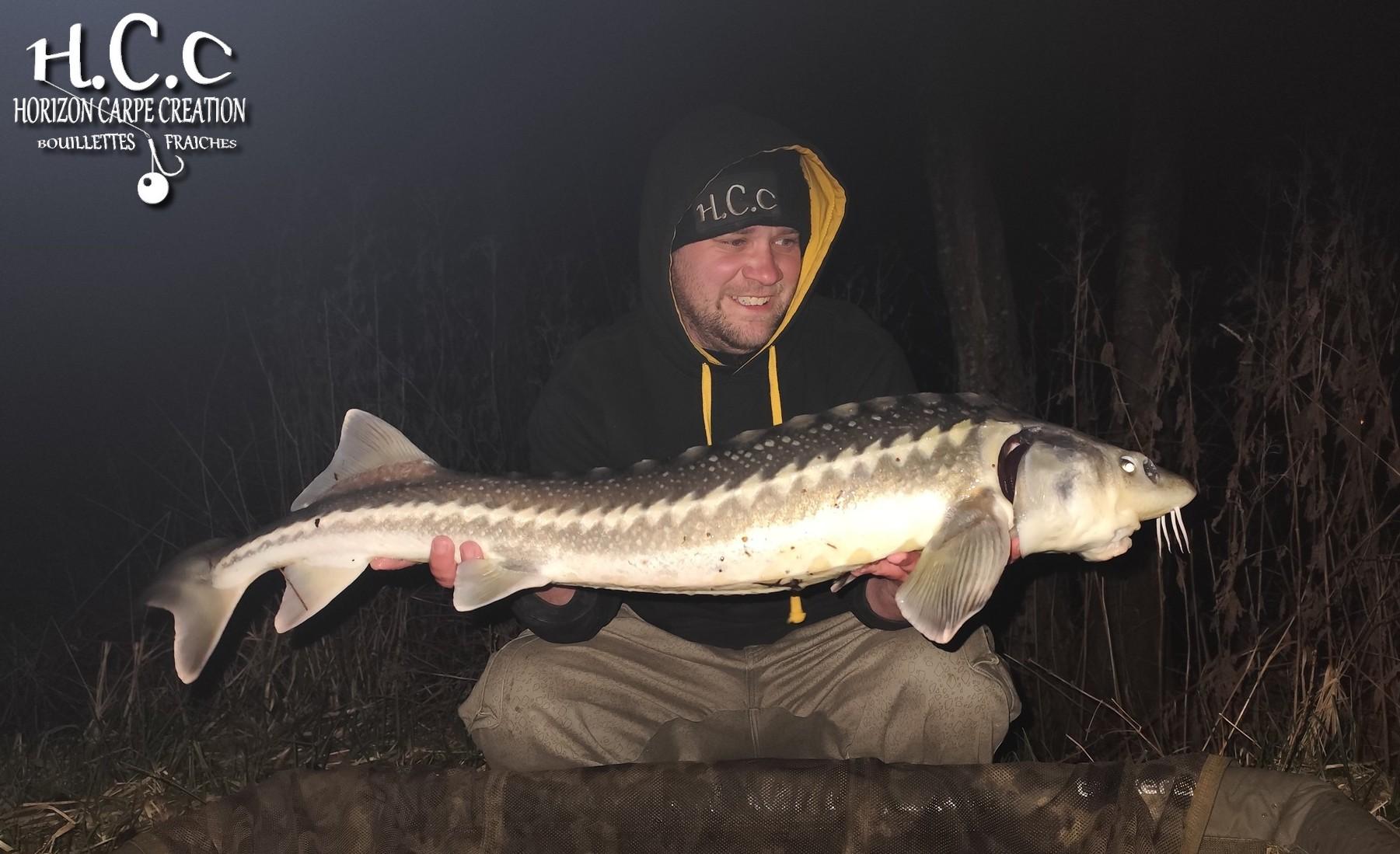 QUENTIN ZAMBELLI - TESTEUR HCC