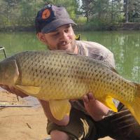 QUENTIN ZAMBELLI - CONSULTANT HCC