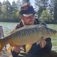 QUENTIN ZAMBELLI - CONSULTANT HCC