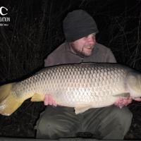 QUENTIN ZAMBELLI - TESTEUR HCC