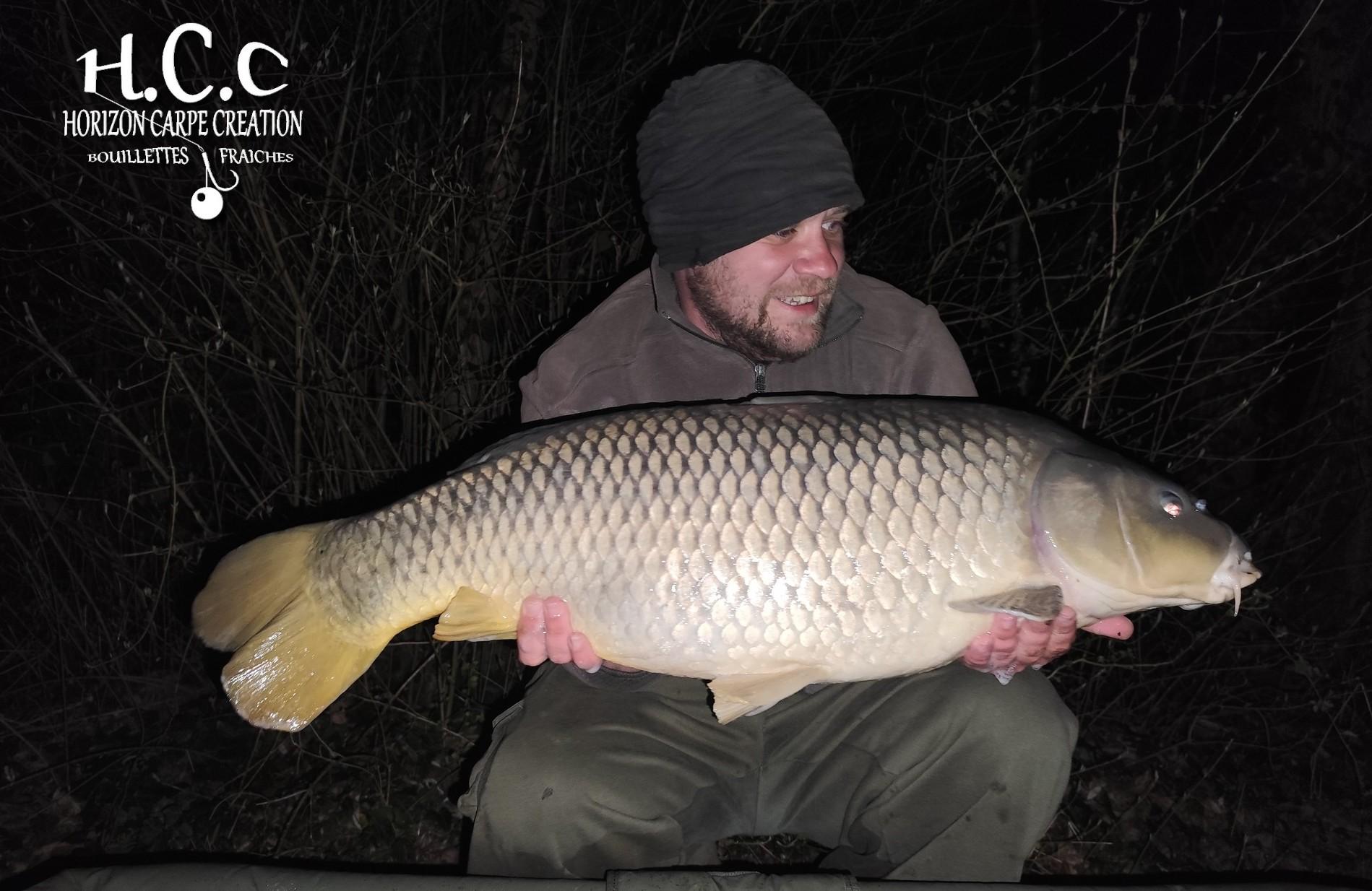 QUENTIN ZAMBELLI - TESTEUR HCC