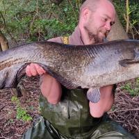 QUENTIN ZAMBELLI - CONSUTLANT HCC