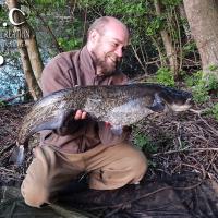 QUENTIN ZAMBELLI - CONSUTLANT HCC