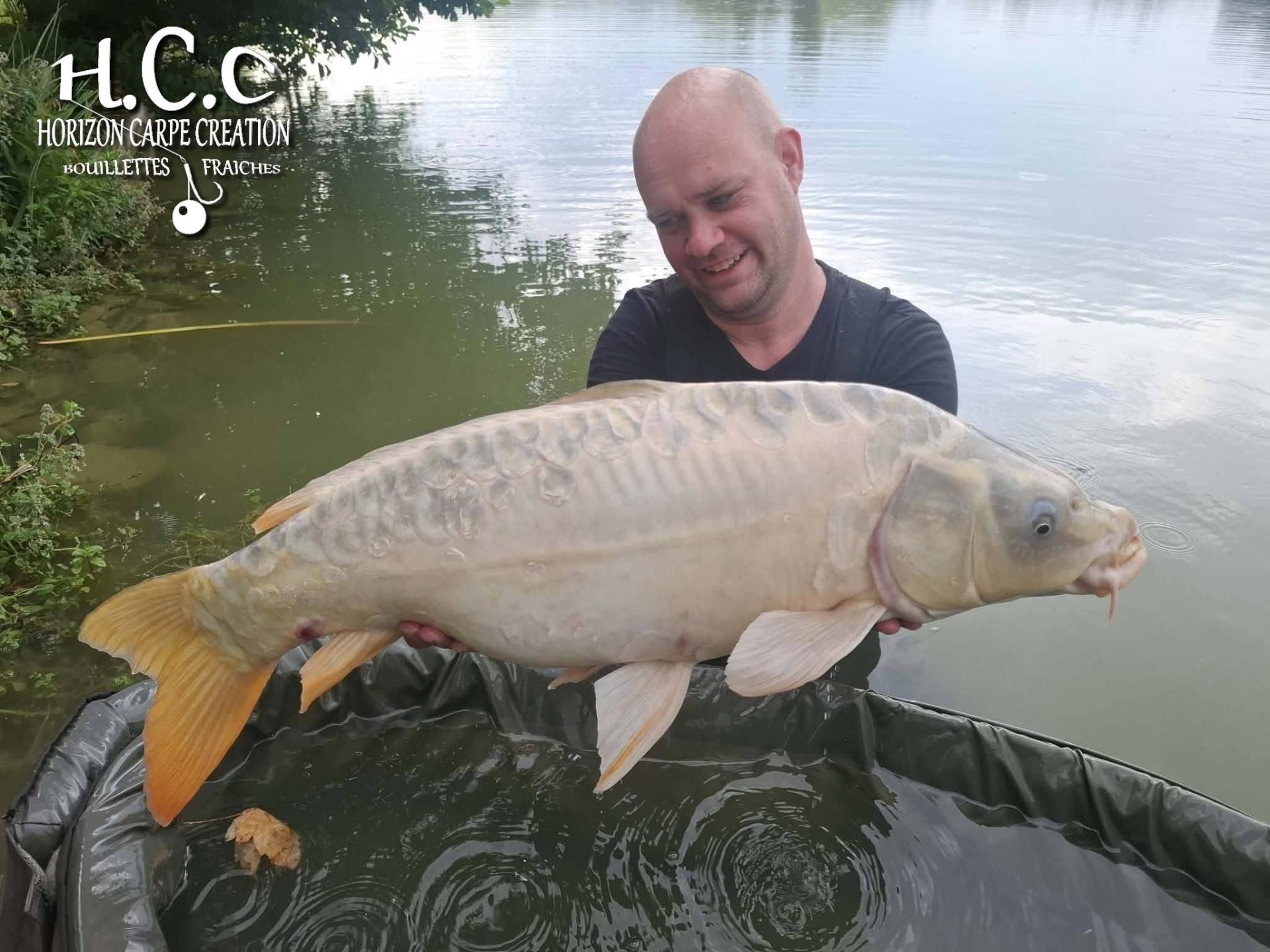 QUENTIN ZAMBELLI - TESTEUR HCC