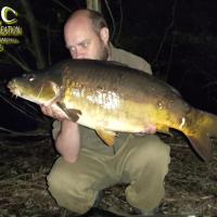 QUENTIN ZAMBELLI - CONSUTLANT HCC