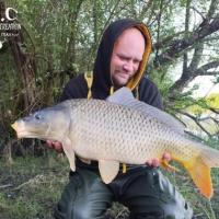 QUENTIN ZAMBELLI - TESTEUR HCC