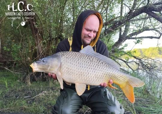 QUENTIN ZAMBELLI - TESTEUR HCC