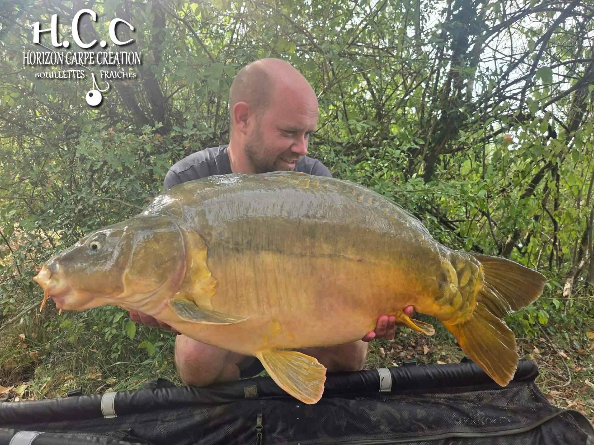 QUENTIN ZAMBELLI - TESTEUR HCC