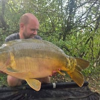 QUENTIN ZAMBELLI - TESTEUR HCC