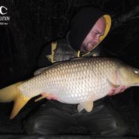 QUENTIN ZAMBELLI - TESTEUR HCC