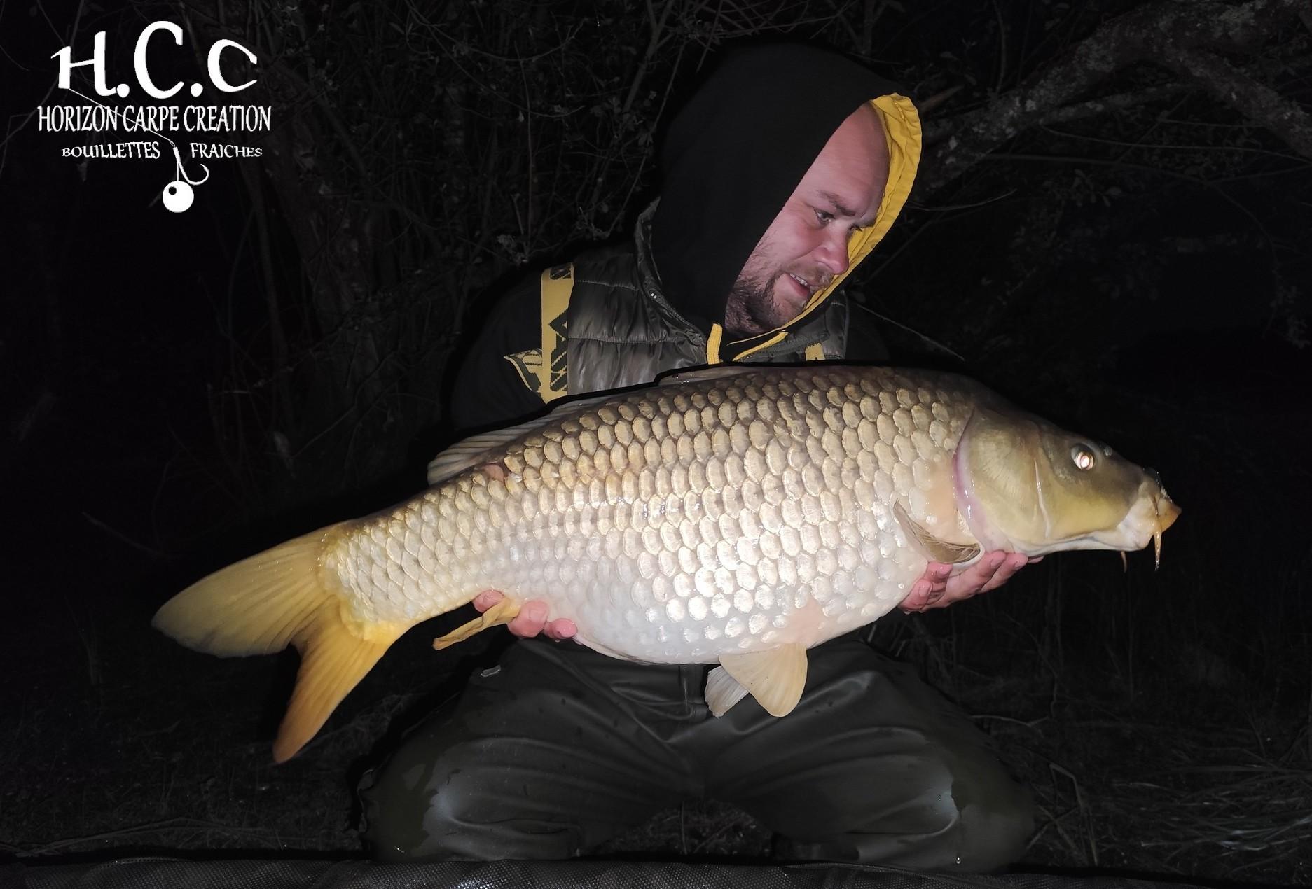 QUENTIN ZAMBELLI - TESTEUR HCC