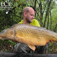 QUENTIN ZAMBELLI - TESTEUR HCC