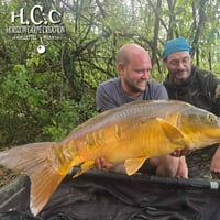 QUENTIN ZAMBELLI - TESTEUR HCC