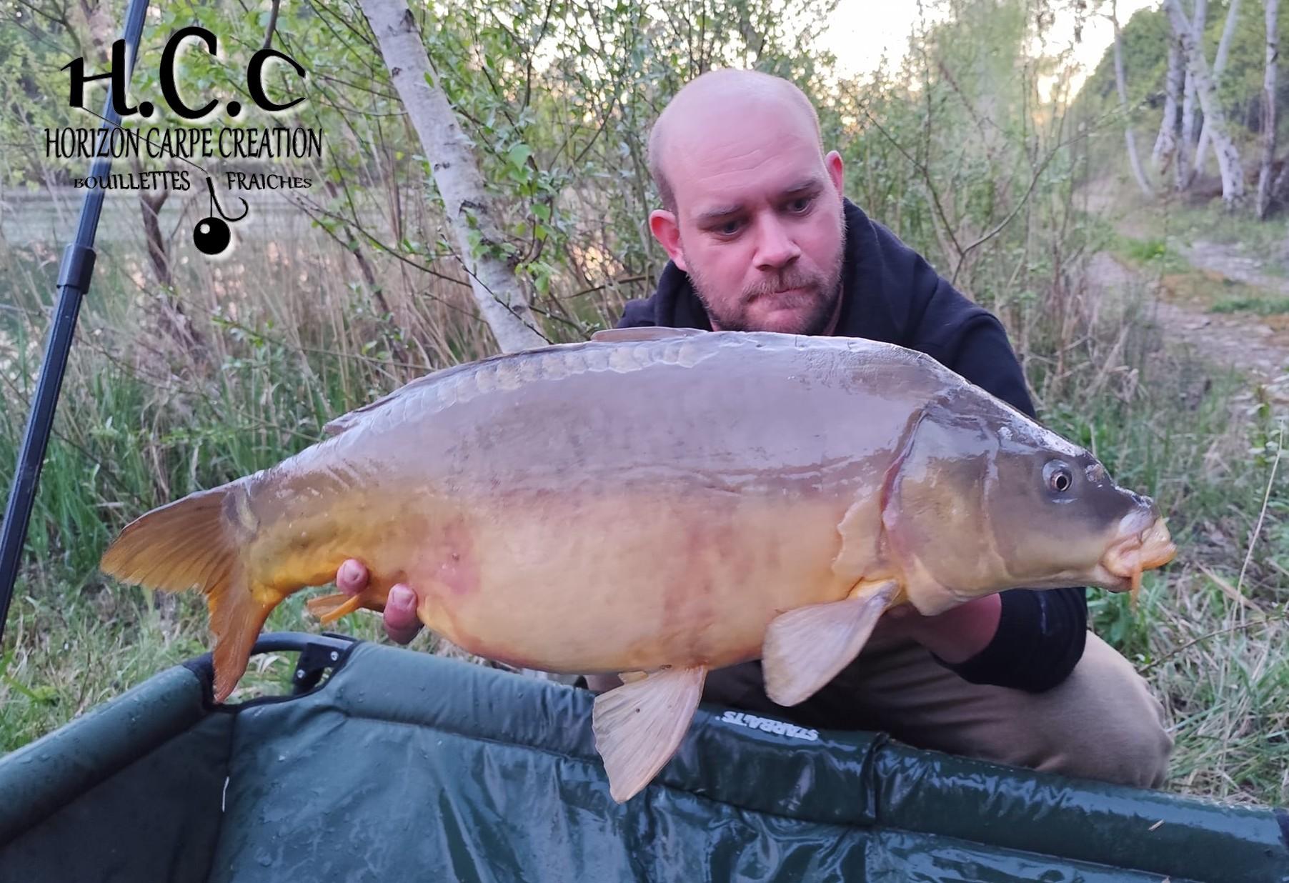 QUENTIN ZAMBELLI - TESTEUR HCC