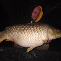 QUENTIN ZAMBELLI - TESTEUR HCC