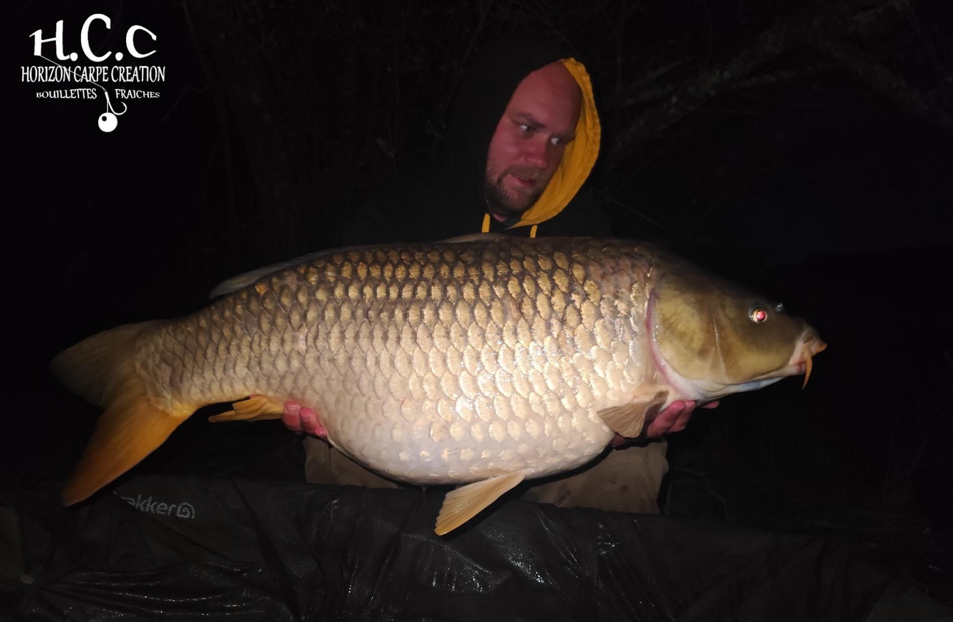 QUENTIN ZAMBELLI - TESTEUR HCC