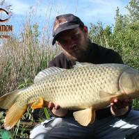 QUENTIN ZAMBELLI - TEAM HCC