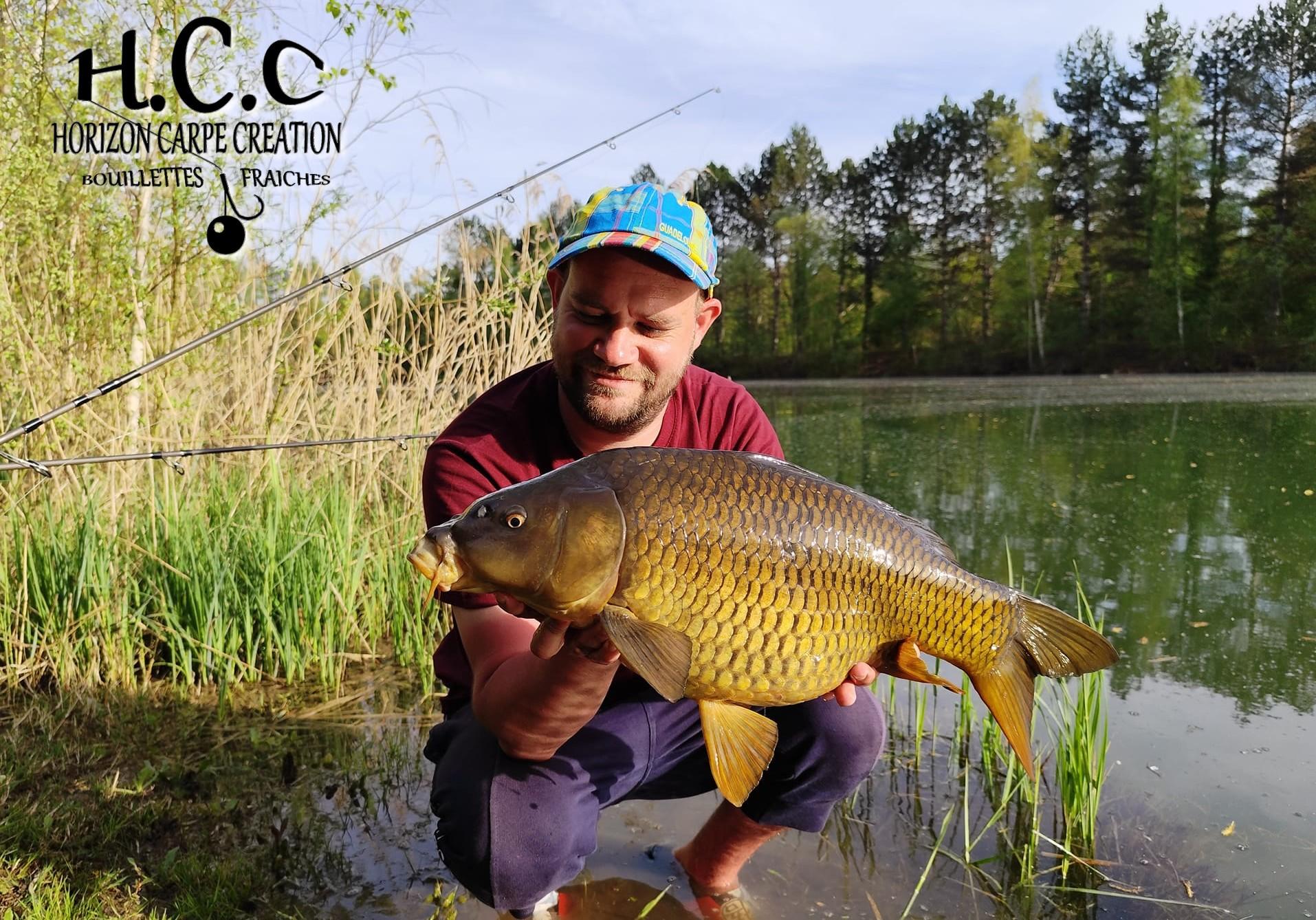 QUENTIN ZAMBELLI - TESTEUR HCC